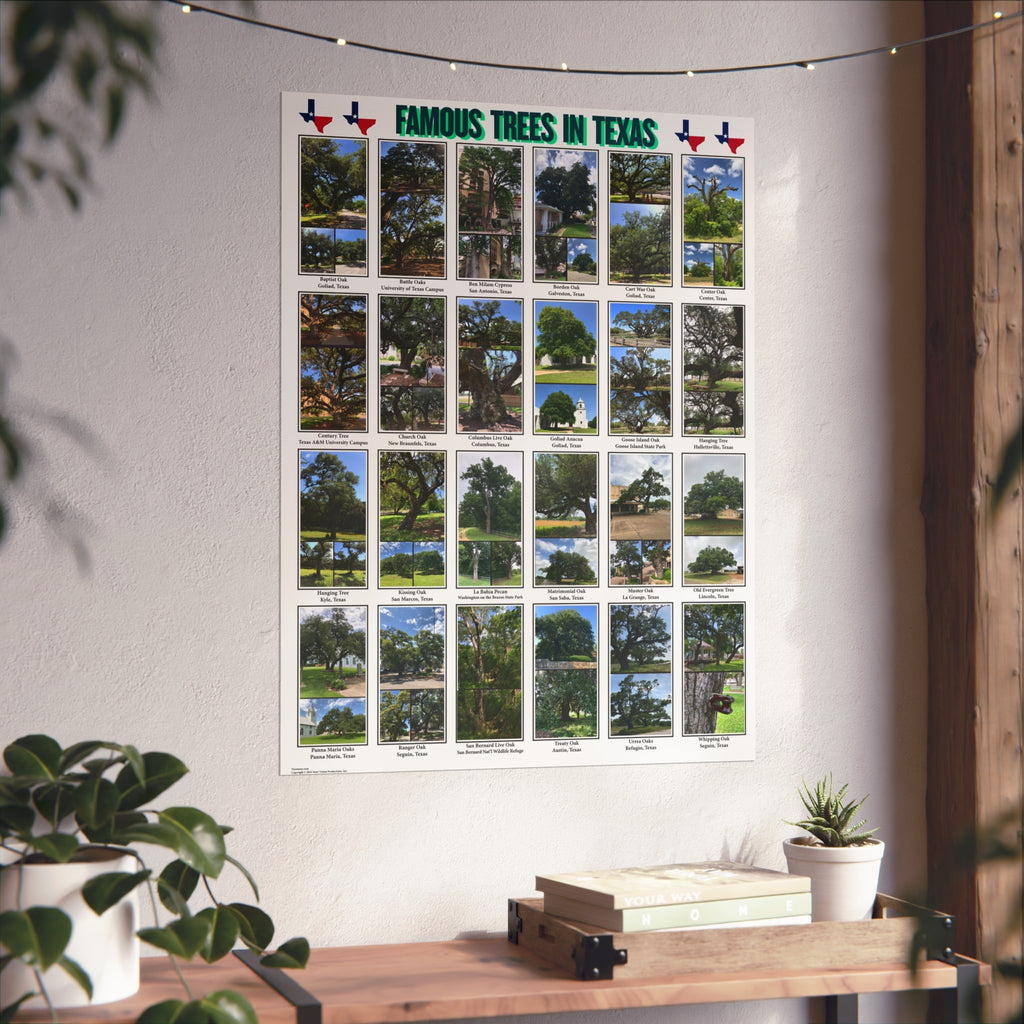 Famous Trees in Texas Poster Fine Art Poster | Botanical Photography Wall Art