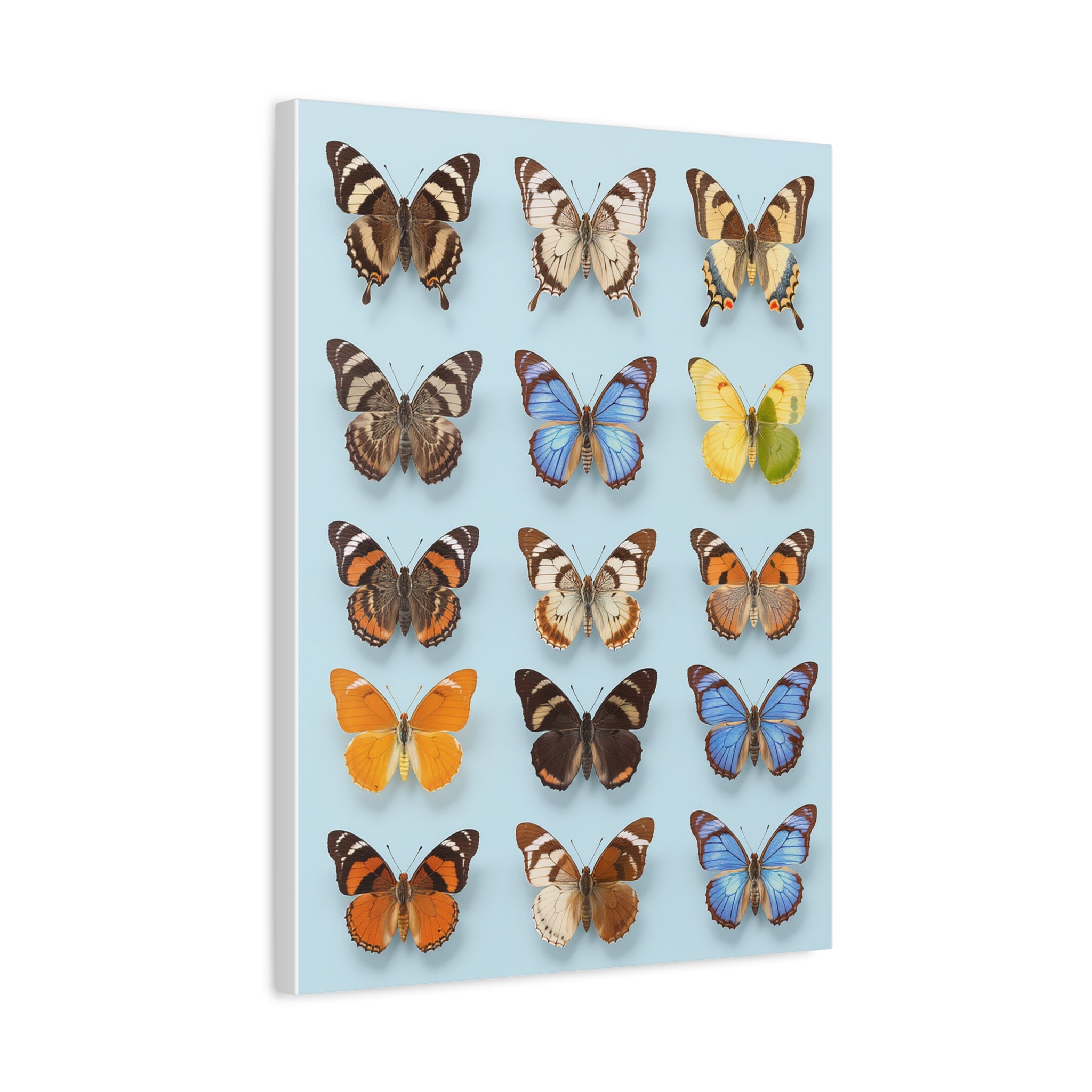 Butterflies 2 Wall Art, Butterfly Lover Gift, Matte Canvas Print, Butterfly Decor, Nature Artwork