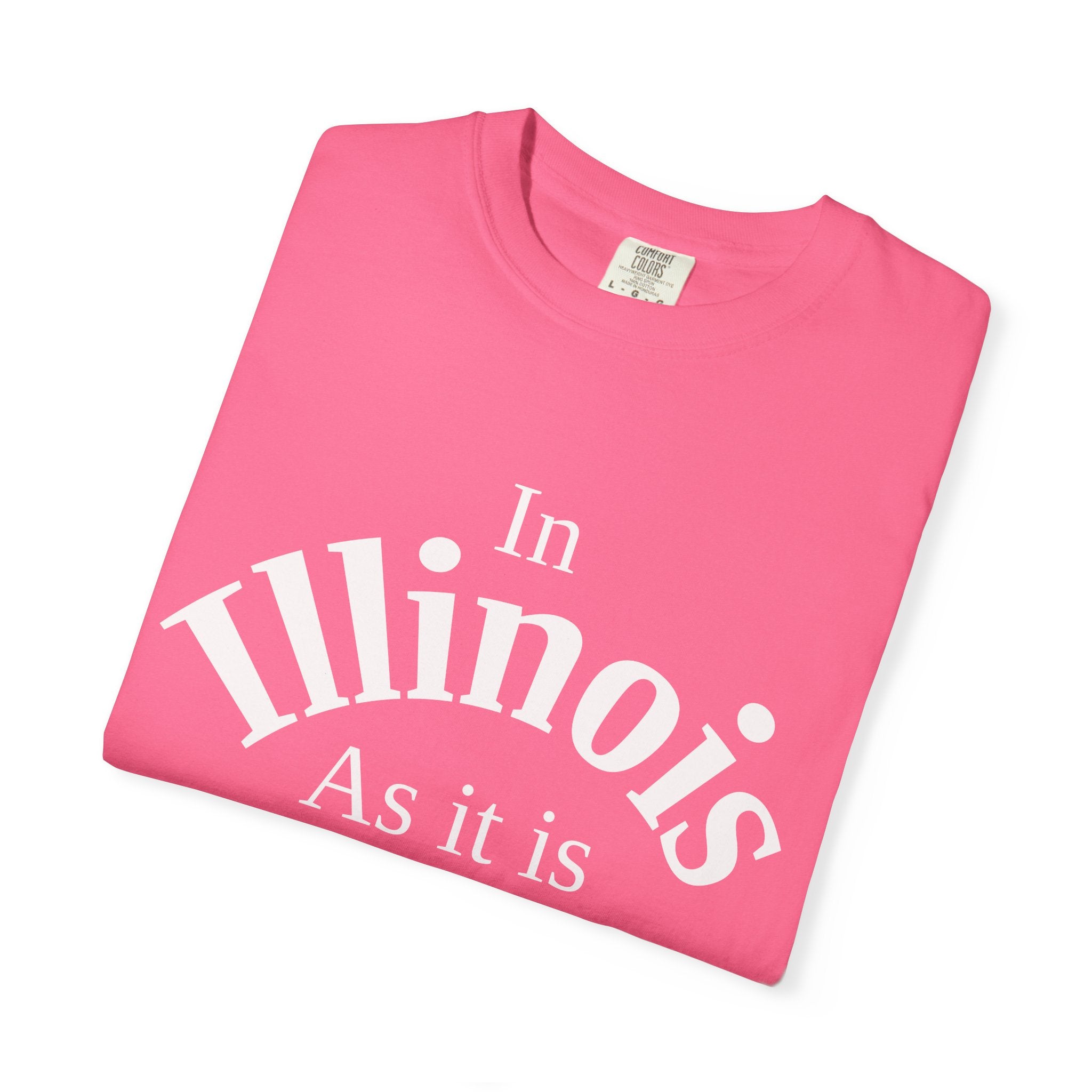 Illinois Unisex T-Shirt, Matthew 6:10 Faith Apparel, Everyday Inspiration Tee, Home State Love Christian Clothing