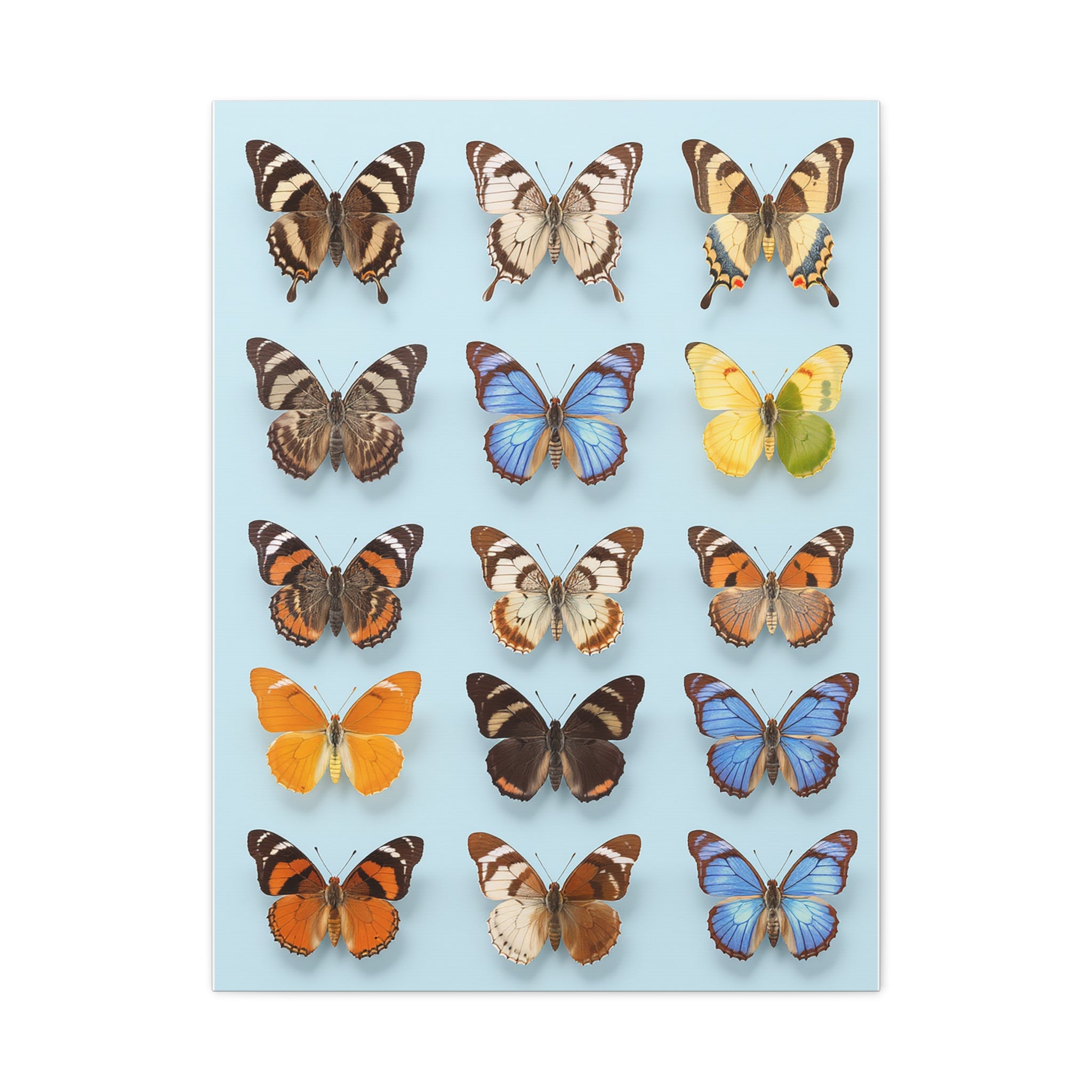 Butterflies 2 Wall Art, Butterfly Lover Gift, Matte Canvas Print, Butterfly Decor, Nature Artwork