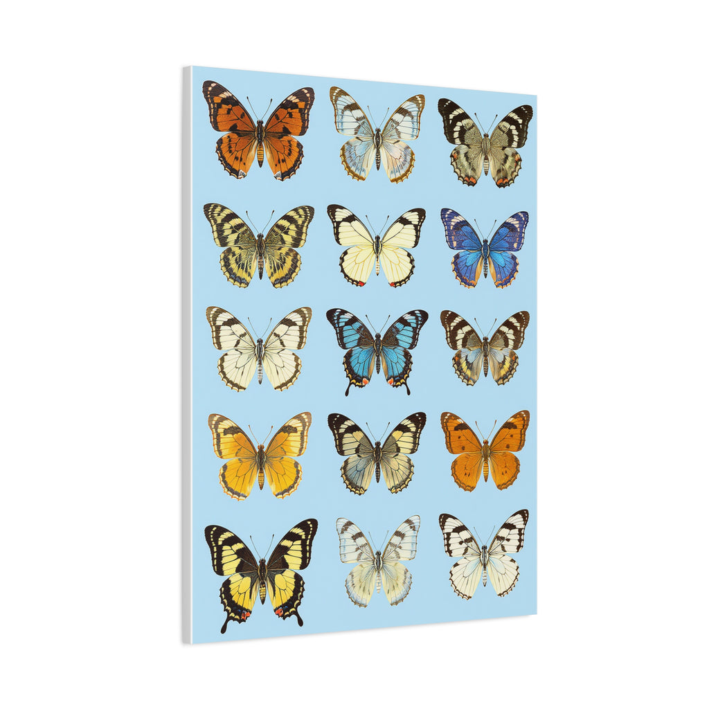 Butterflies 3 Wall Art, Butterfly Lover Gift, Matte Canvas Print, Butterfly Decor, Nature Artwork