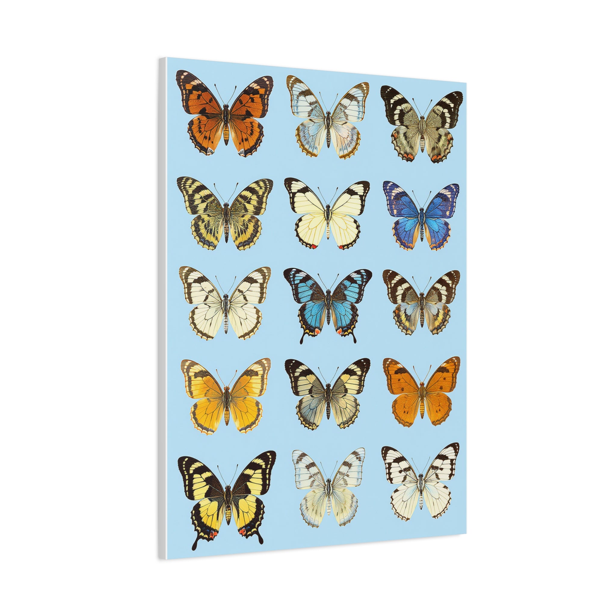 Butterflies 3 Wall Art, Butterfly Lover Gift, Matte Canvas Print, Butterfly Decor, Nature Artwork