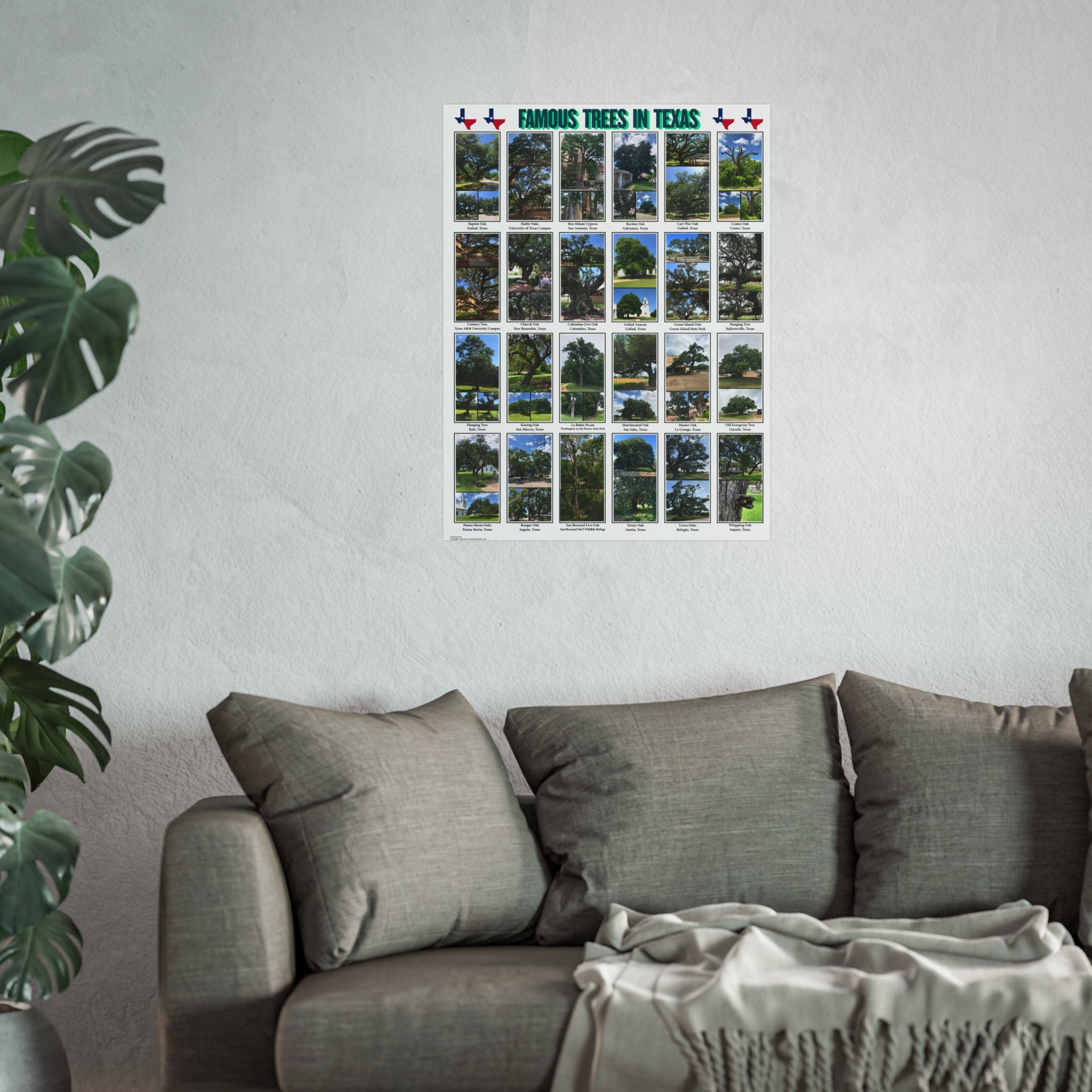 Famous Trees in Texas Poster Fine Art Poster | Botanical Photography Wall Art