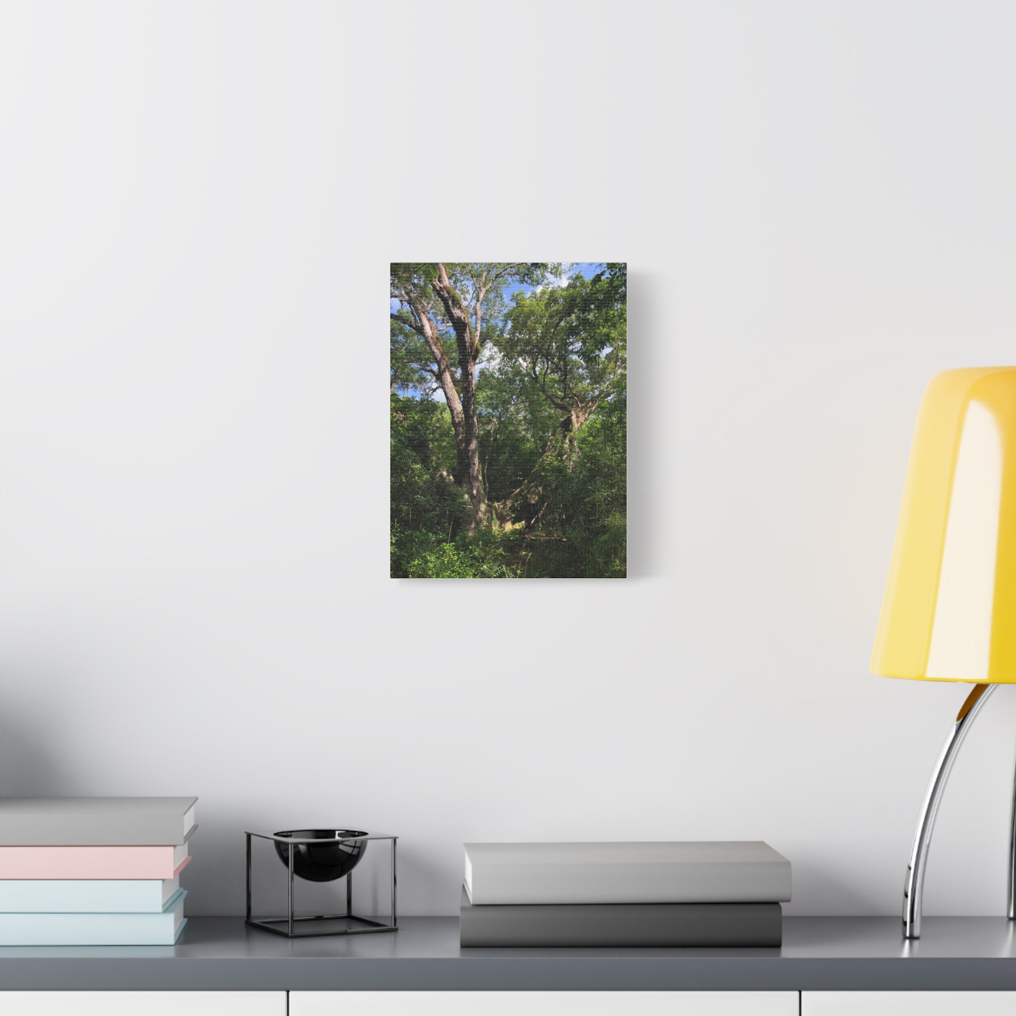 San Bernard Oak - Texas Largest Live Oak Sunlit Forest Trees Matte Canvas