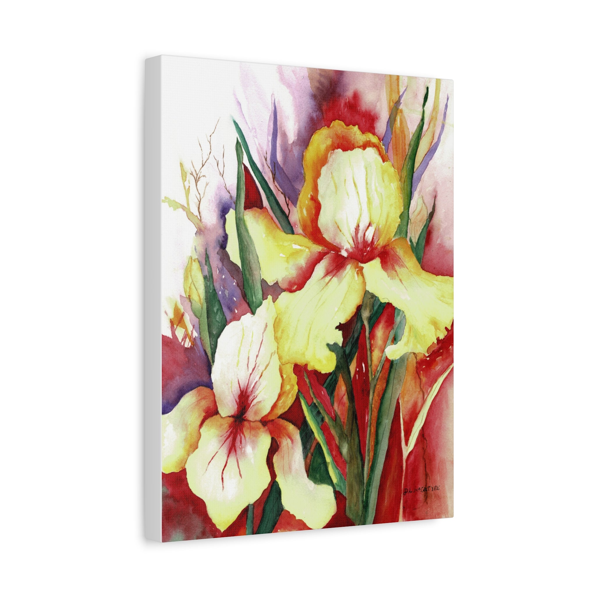 Canvas Print, Yellow Irises Watercolor Art, Stretched Matte Wall Art, Floral Home Decor, Botanical Artwork, Flower Painting Print, Gift for