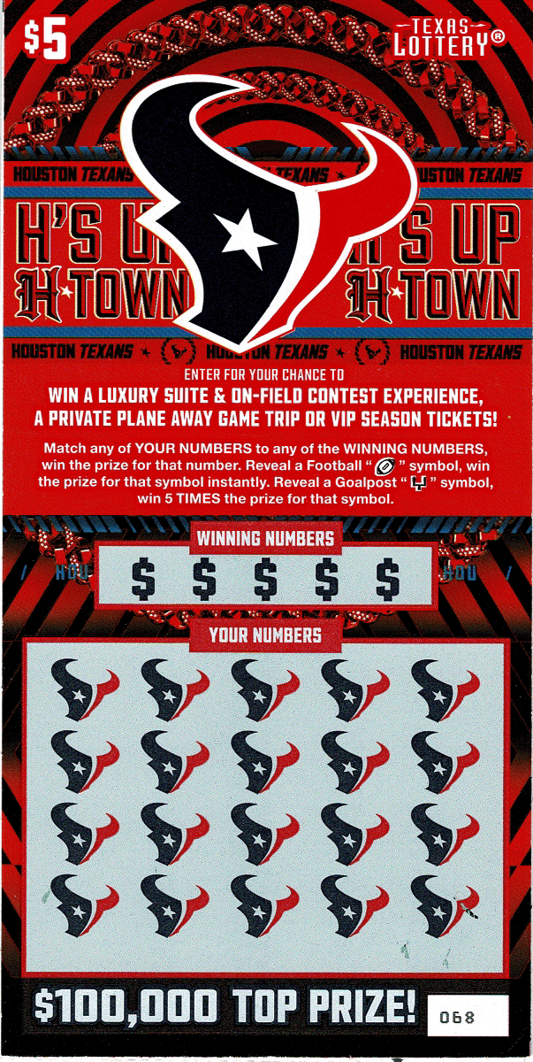 Houston Texans #2664