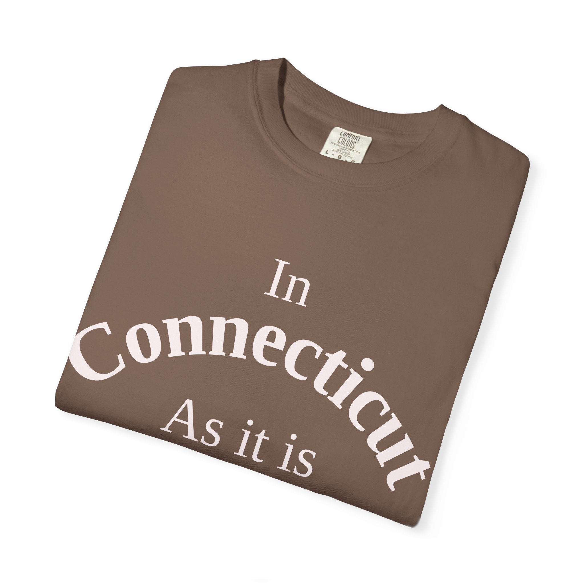 Connecticut Unisex T-Shirt, Matthew 6:10 Faith Apparel, Everyday Inspiration Tee, Home State Love Christian Clothing