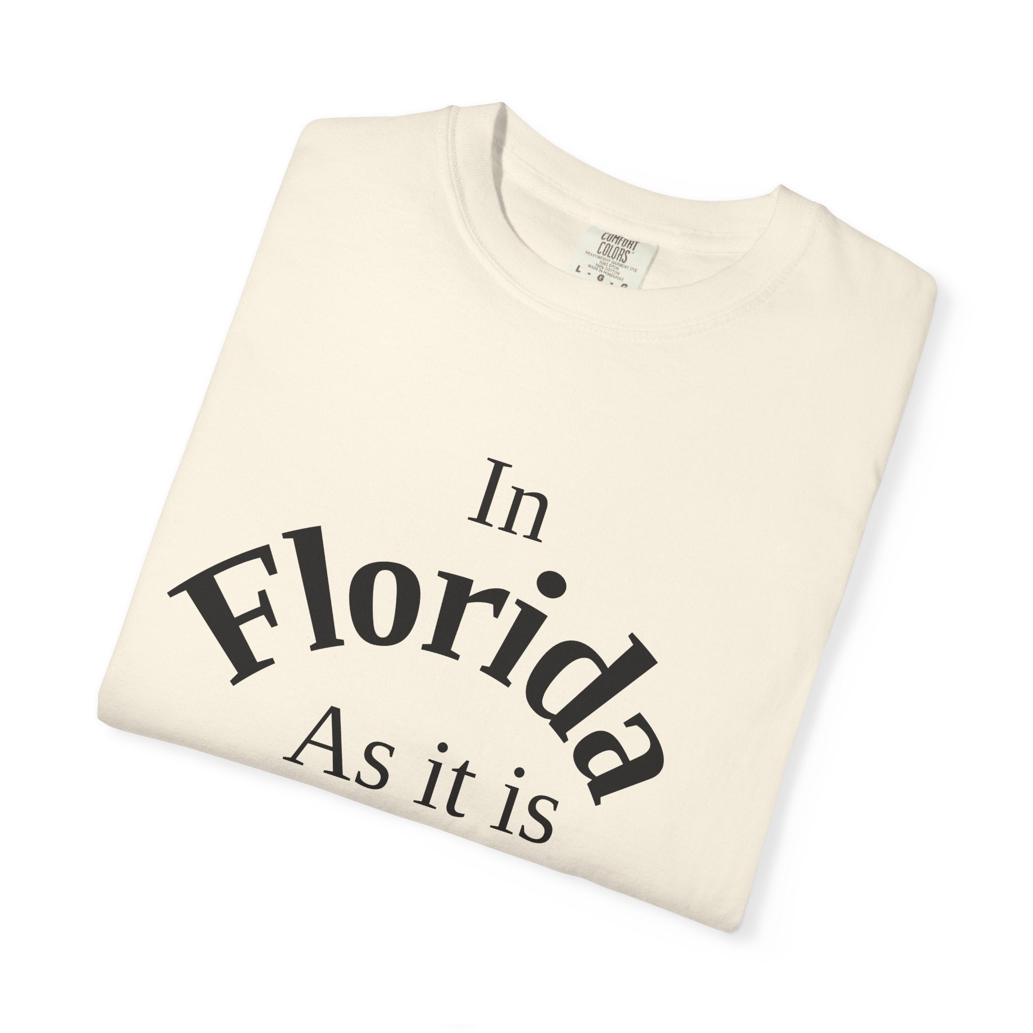 Florida Unisex T-Shirt, Matthew 6:10 Faith Apparel, Everyday Inspiration Tee, Hometown Love Christian Clothing