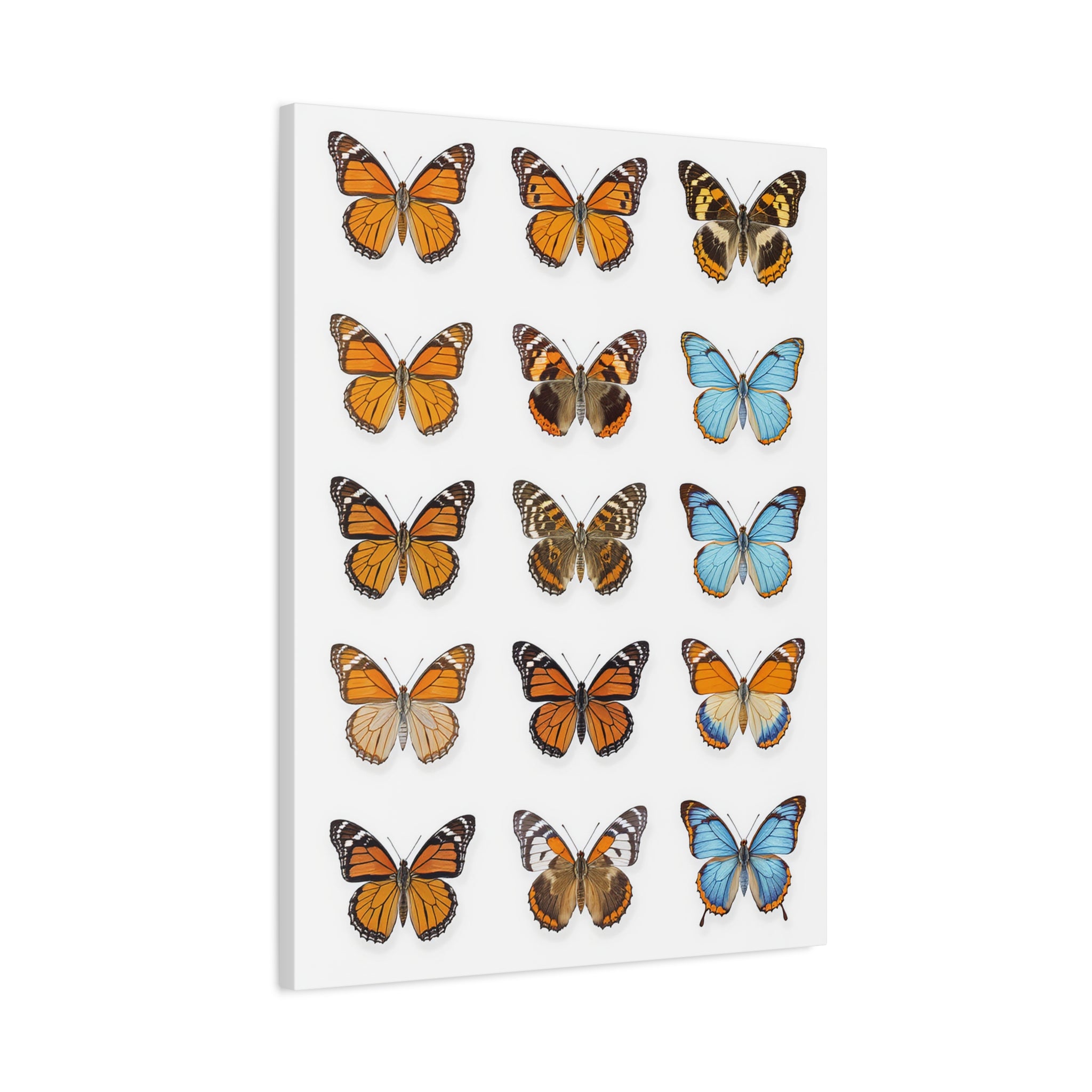 Butterflies 1 Wall Art, Butterfly Lover Gift, Matte Canvas Print, Butterfly Decor, Nature Artwork