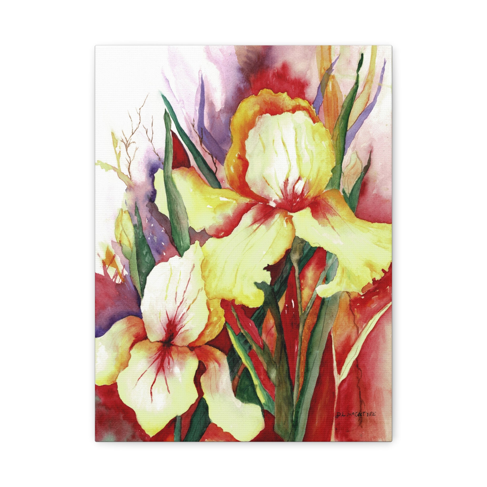 Canvas Print, Yellow Irises Watercolor Art, Stretched Matte Wall Art, Floral Home Decor, Botanical Artwork, Flower Painting Print, Gift for