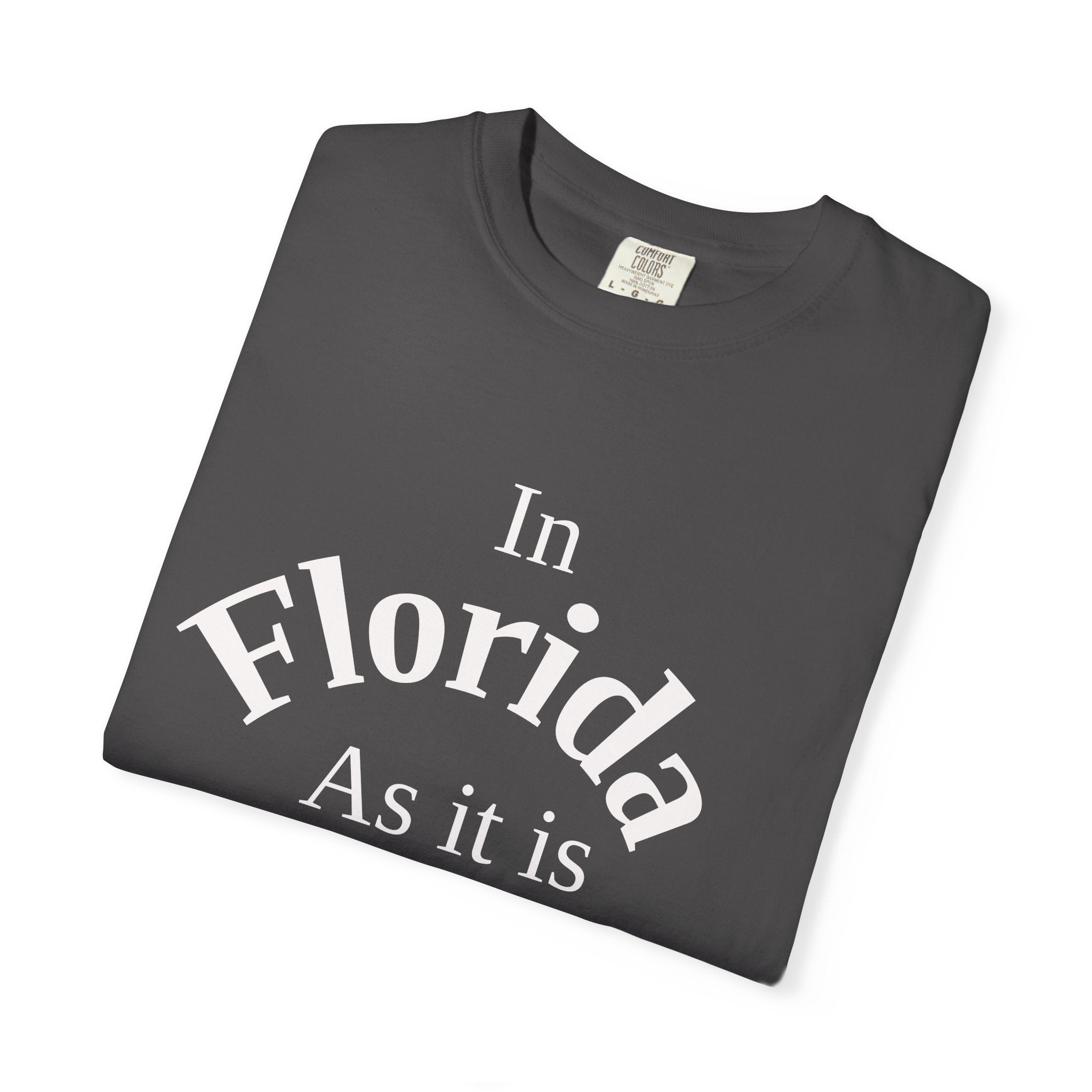 Florida Unisex T-Shirt, Matthew 6:10 Faith Apparel, Everyday Inspiration Tee, Hometown Love Christian Clothing