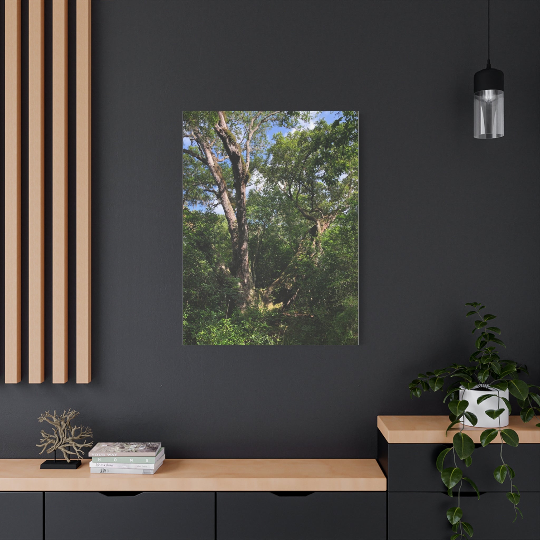 San Bernard Oak - Texas Largest Live Oak Sunlit Forest Trees Matte Canvas