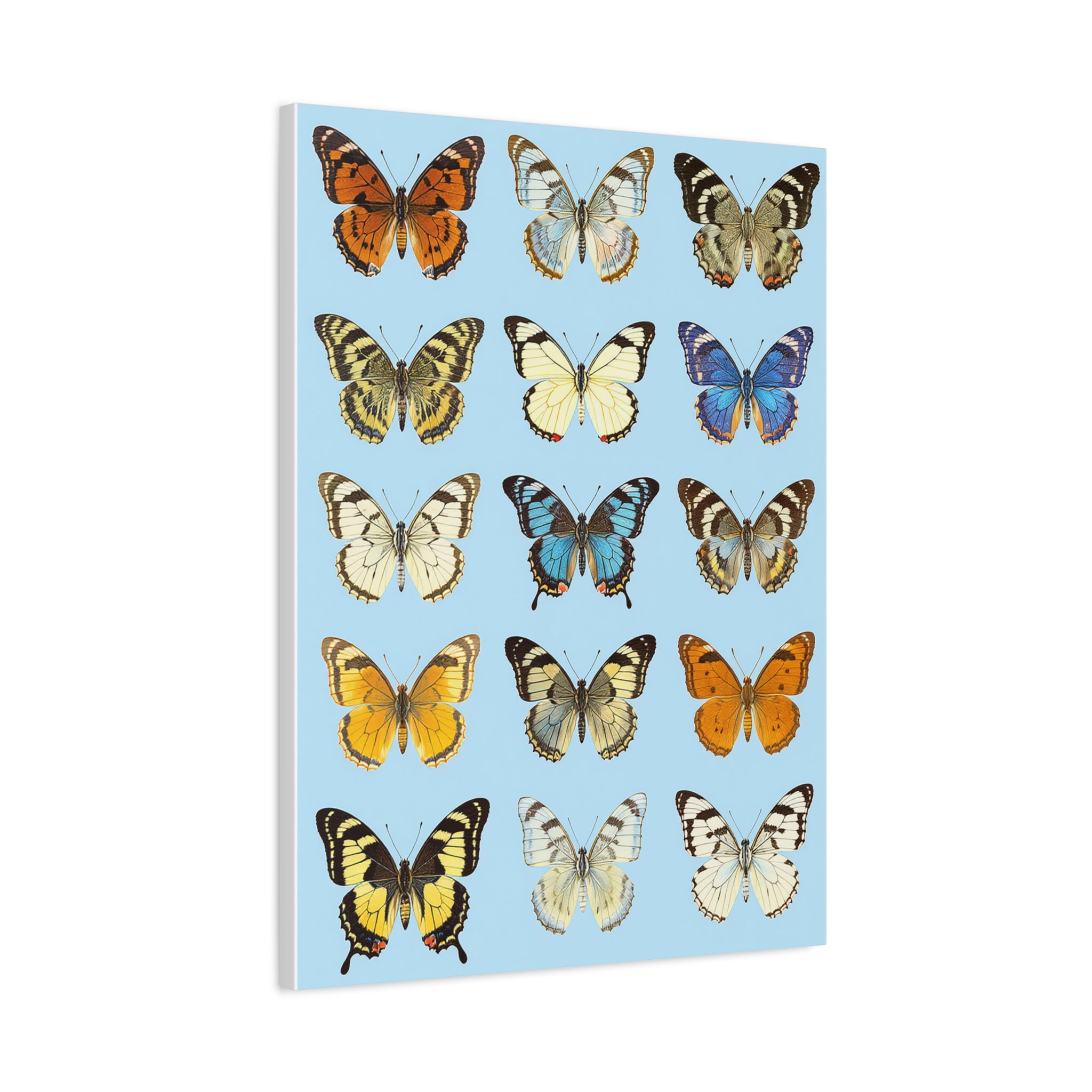 Butterflies 3 Wall Art, Butterfly Lover Gift, Matte Canvas Print, Butterfly Decor, Nature Artwork