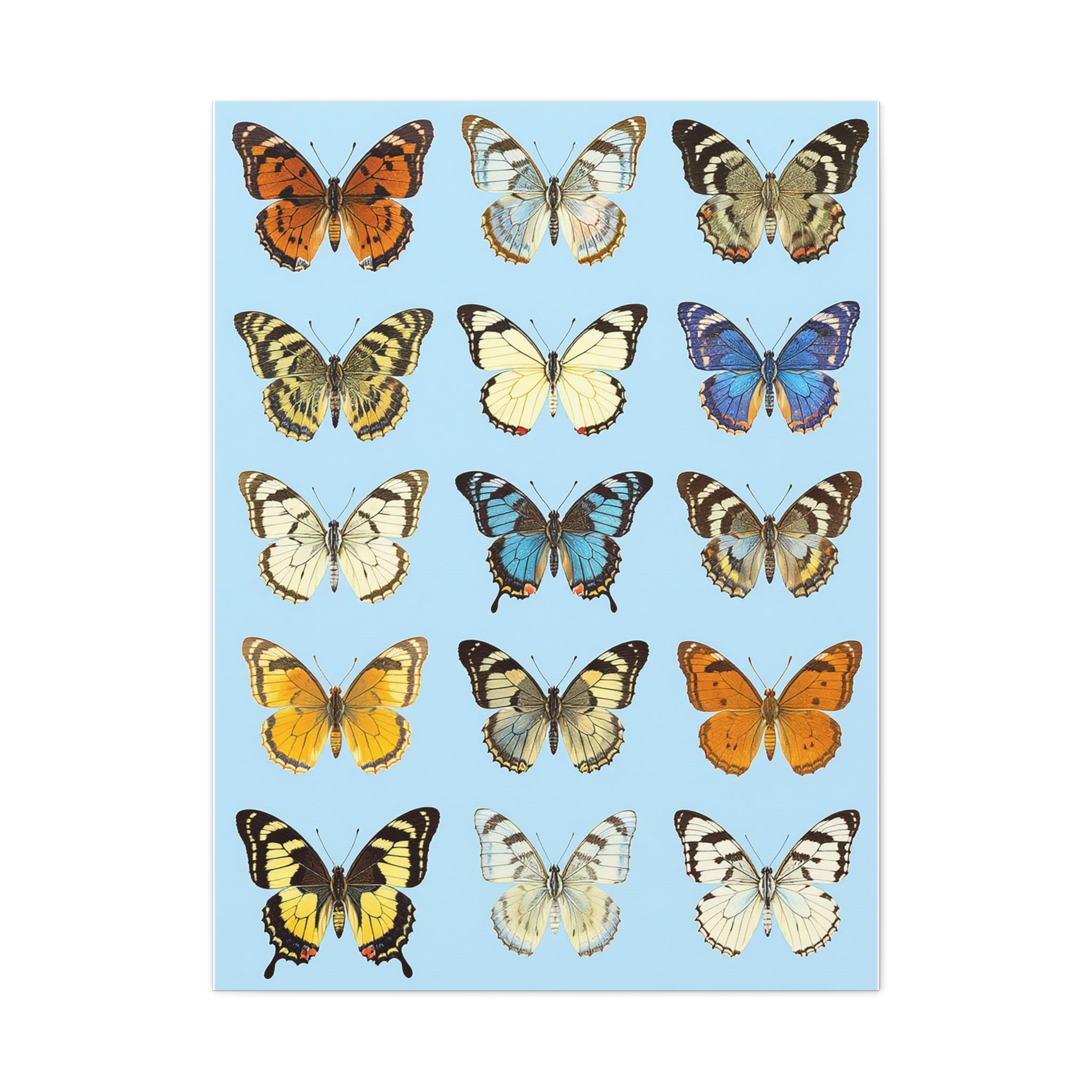 Butterflies 3 Wall Art, Butterfly Lover Gift, Matte Canvas Print, Butterfly Decor, Nature Artwork