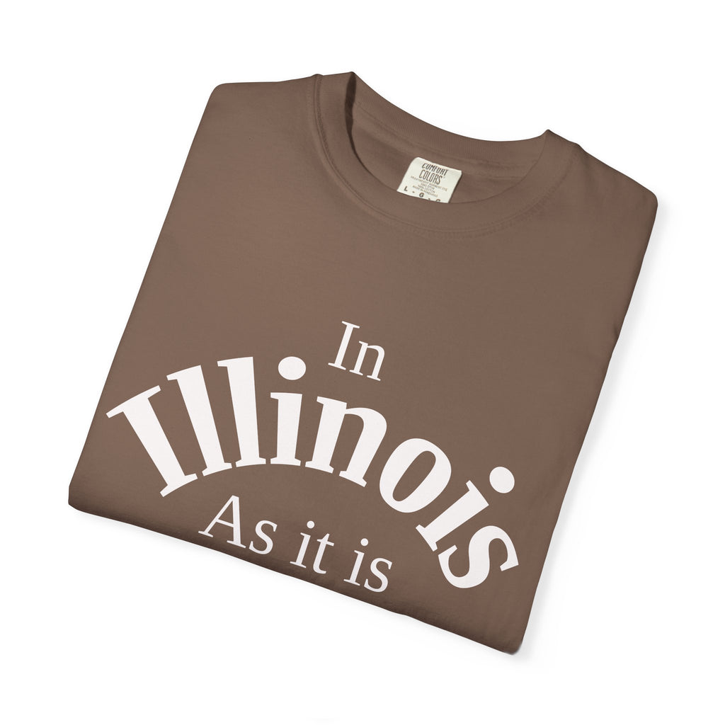 Illinois Unisex T-Shirt, Matthew 6:10 Faith Apparel, Everyday Inspiration Tee, Home State Love Christian Clothing