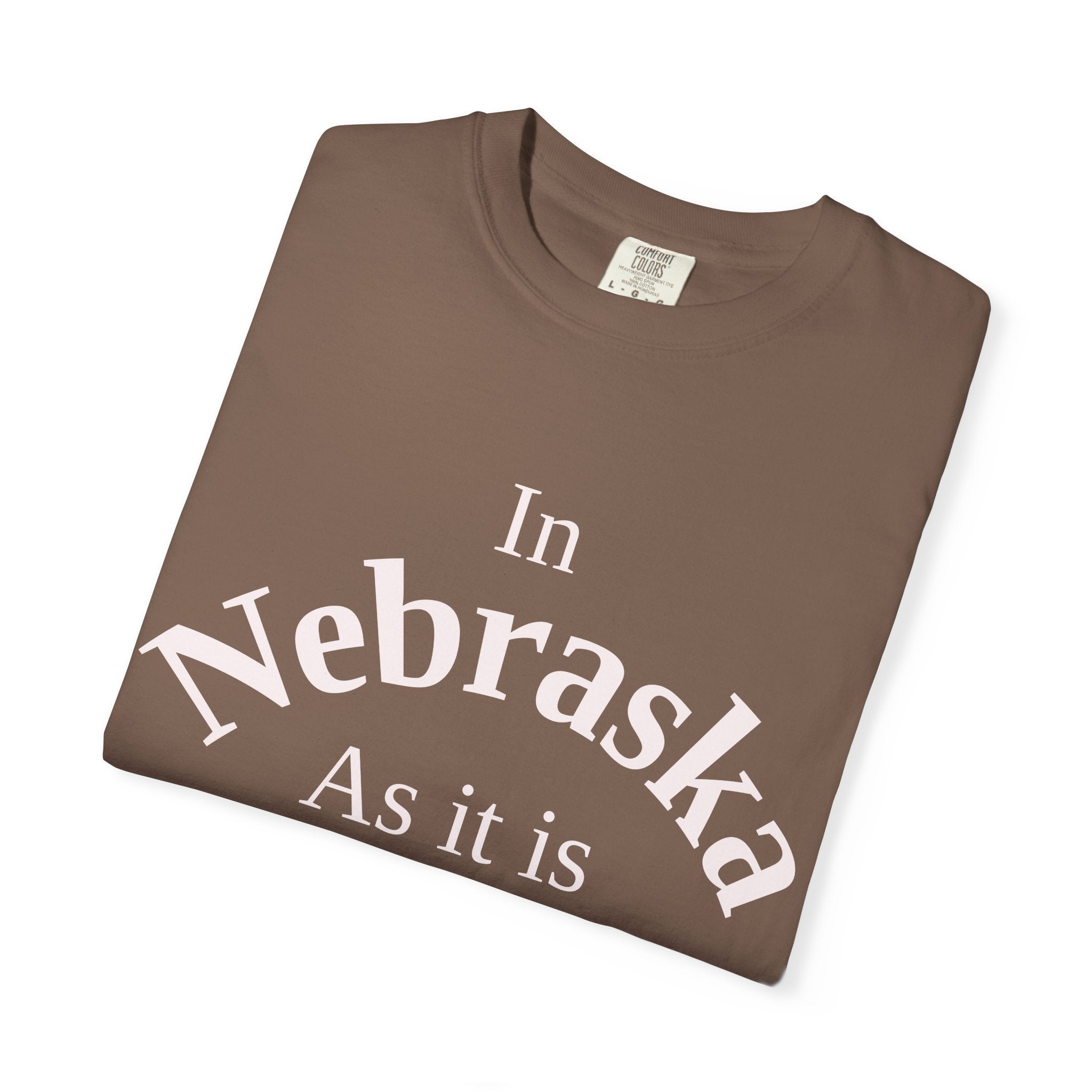 Nebraska Unisex T-Shirt, Matthew 6:10 Faith Apparel, Everyday Inspiration Tee, Home State Love Christian Clothing