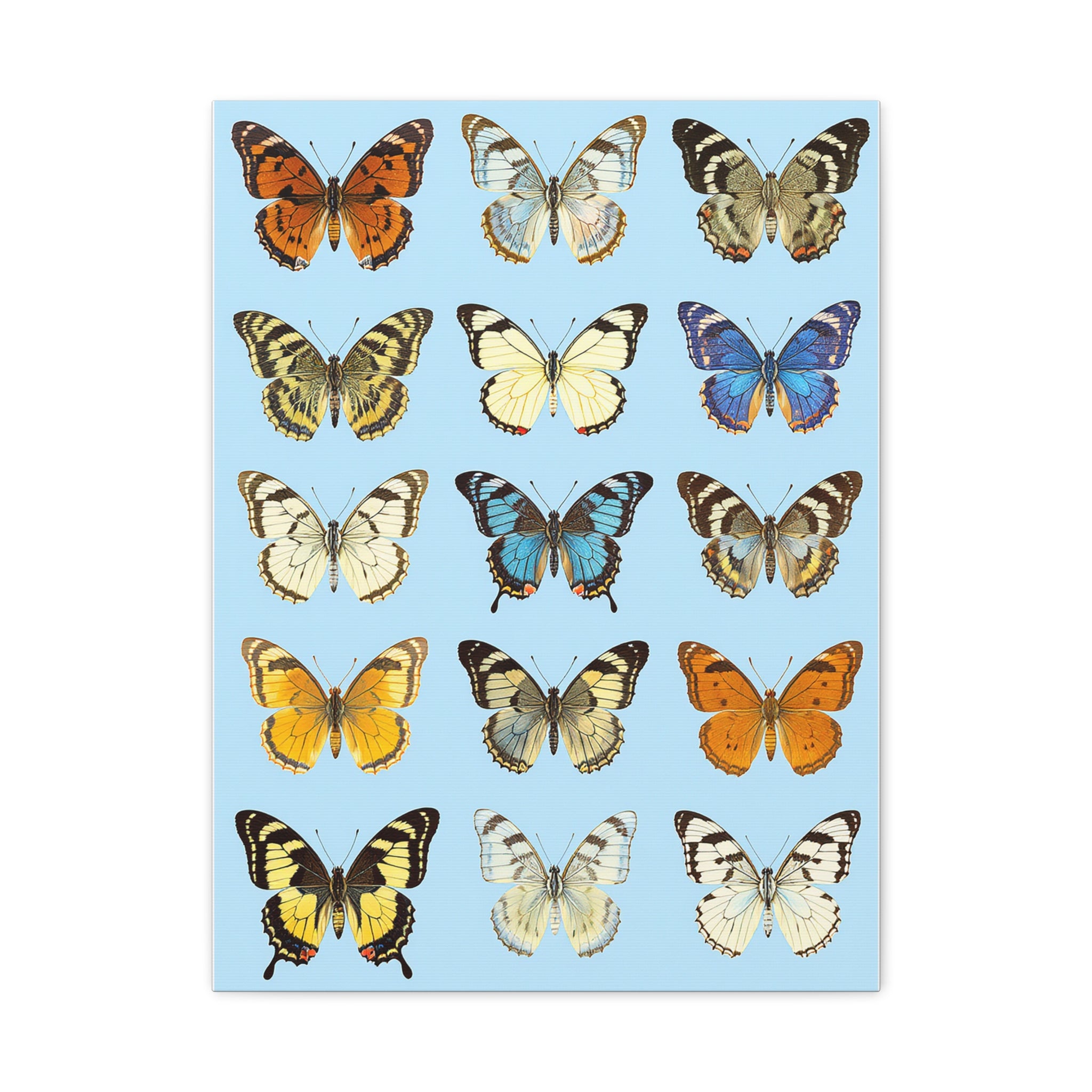 Butterflies 3 Wall Art, Butterfly Lover Gift, Matte Canvas Print, Butterfly Decor, Nature Artwork