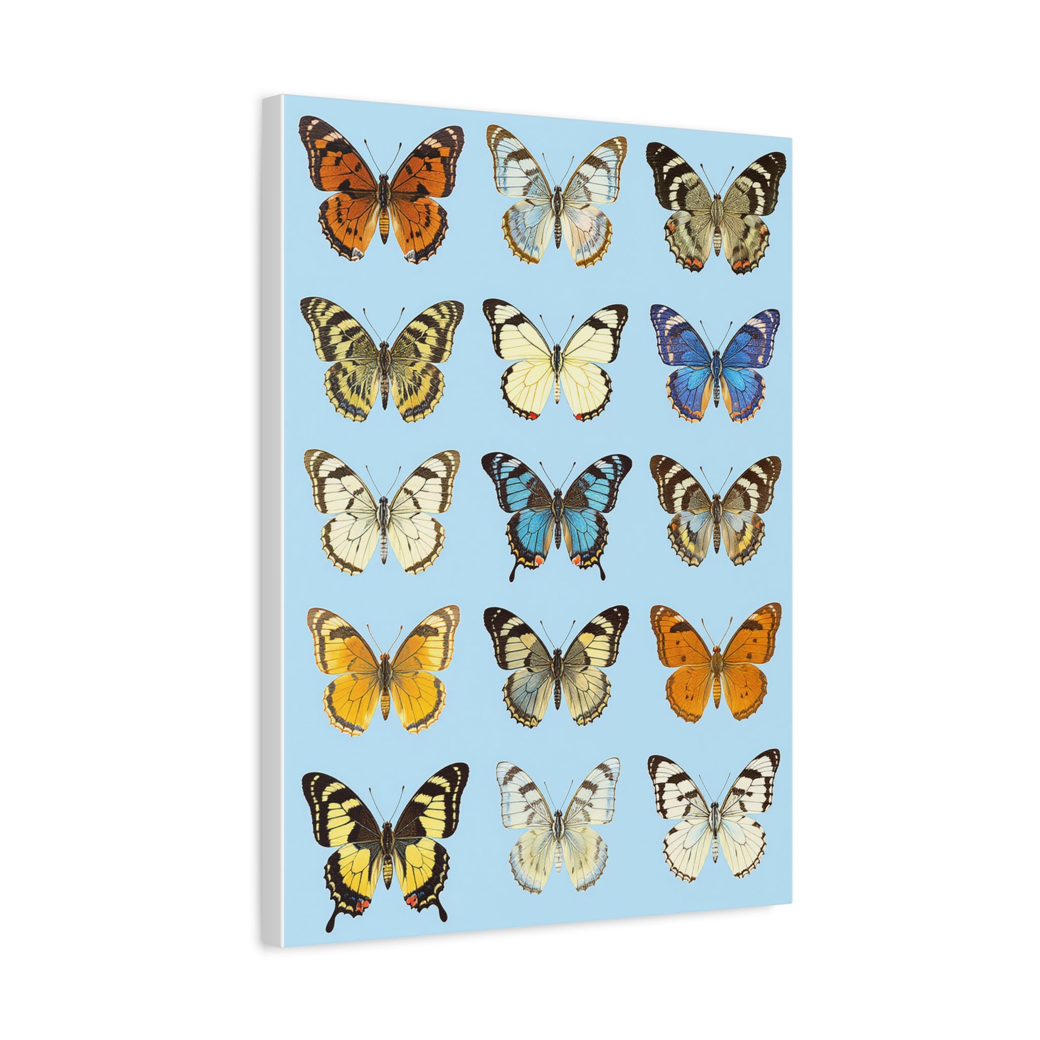 Butterflies 3 Wall Art, Butterfly Lover Gift, Matte Canvas Print, Butterfly Decor, Nature Artwork