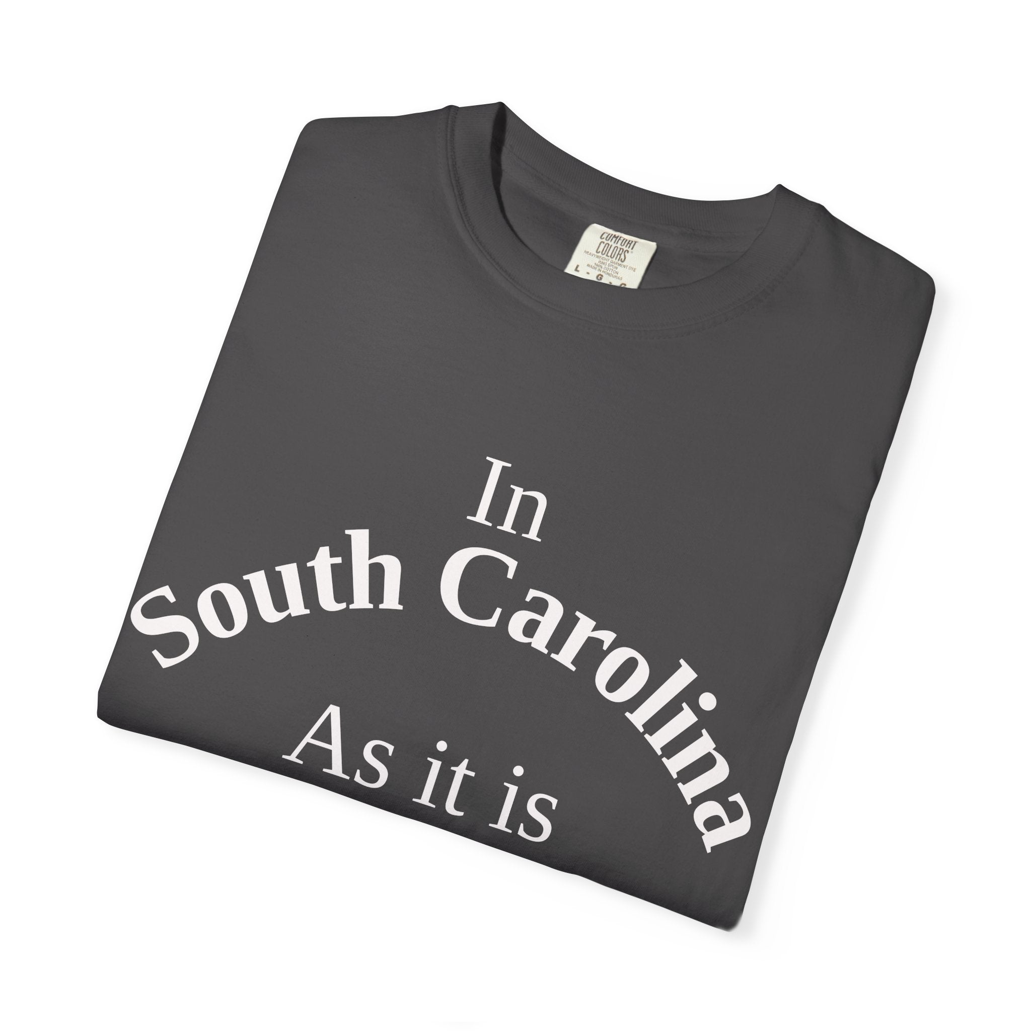 South Carolina Unisex T-Shirt, Matthew 6:10 Faith Apparel, Everyday Inspiration Tee, Home State Love Christian Clothing