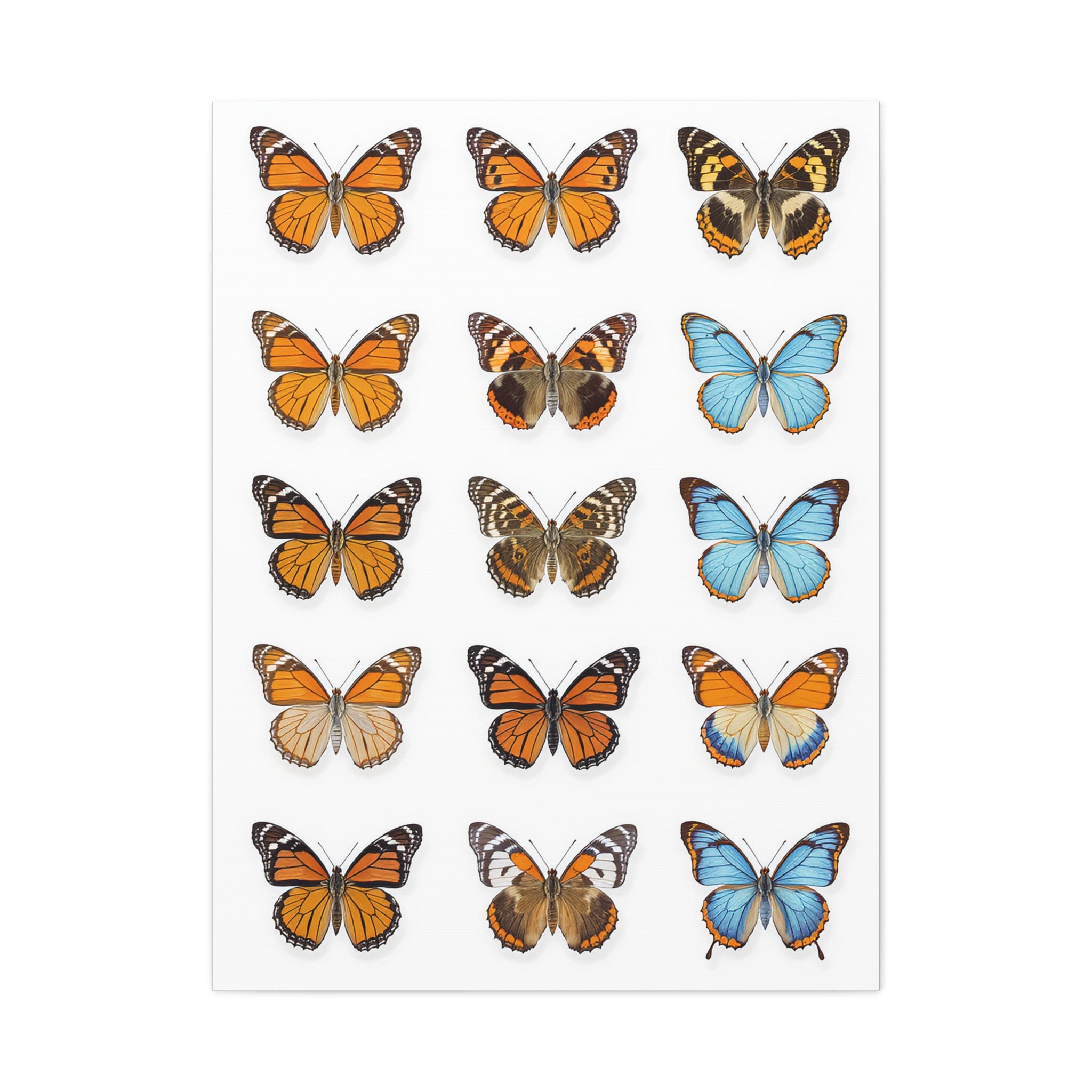 Butterflies 1 Wall Art, Butterfly Lover Gift, Matte Canvas Print, Butterfly Decor, Nature Artwork