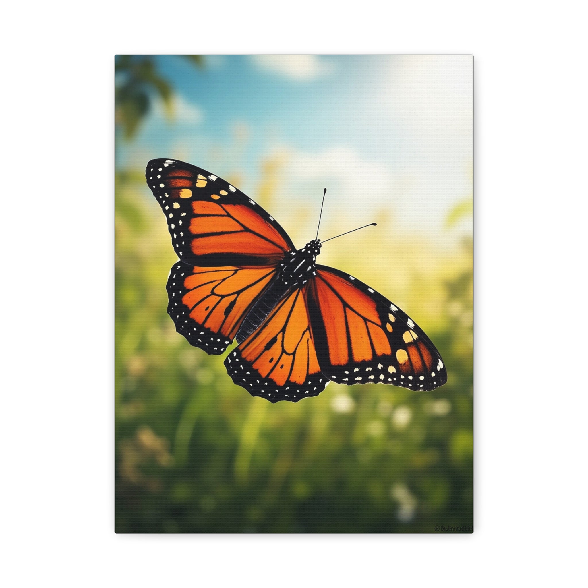 Canvas Art, Butterfly Large, Stretched Canvas Print Wall Decor, Unique Gift Idea